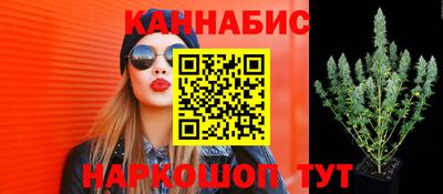 мдпв Тверь