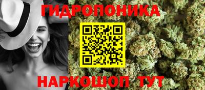 крисы Тара
