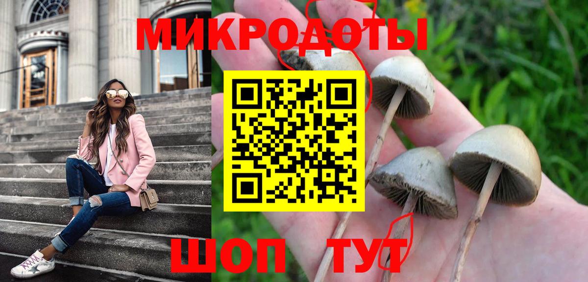 Псилоцибиновые грибы GOLDEN TEACHER  Галлюциногенные грибы Magic Shrooms  Пенза  Вход с VPN 